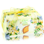49 223 colomba limone