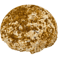 Kleine nougattaart Amaretti 85 g  (per 12 stuks)