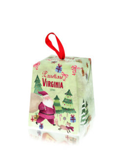 Virginia mini panettone tradizionale 100 g (12 per doos) 48/499