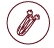 Selderij logo